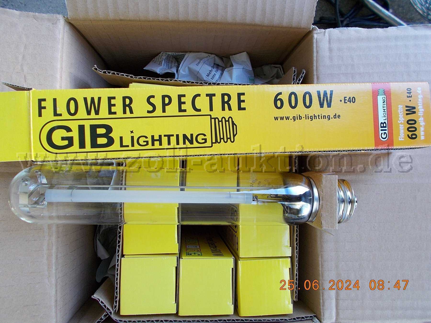 12X GIB-Lighting Natriumdampflampe 600W