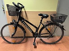 Das Fahrrad