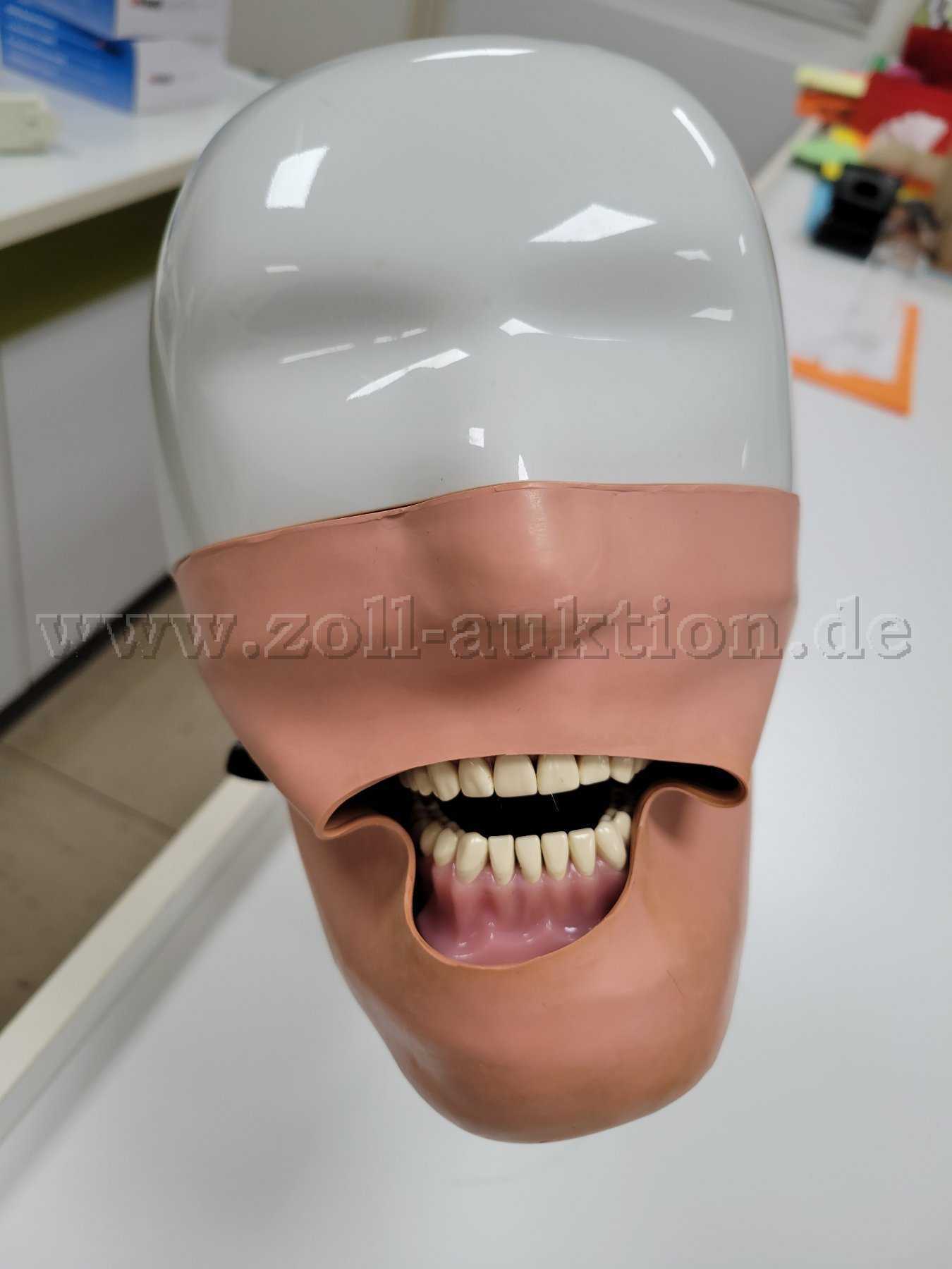 1 Dental Phantomkopf aus Schulbetrieb