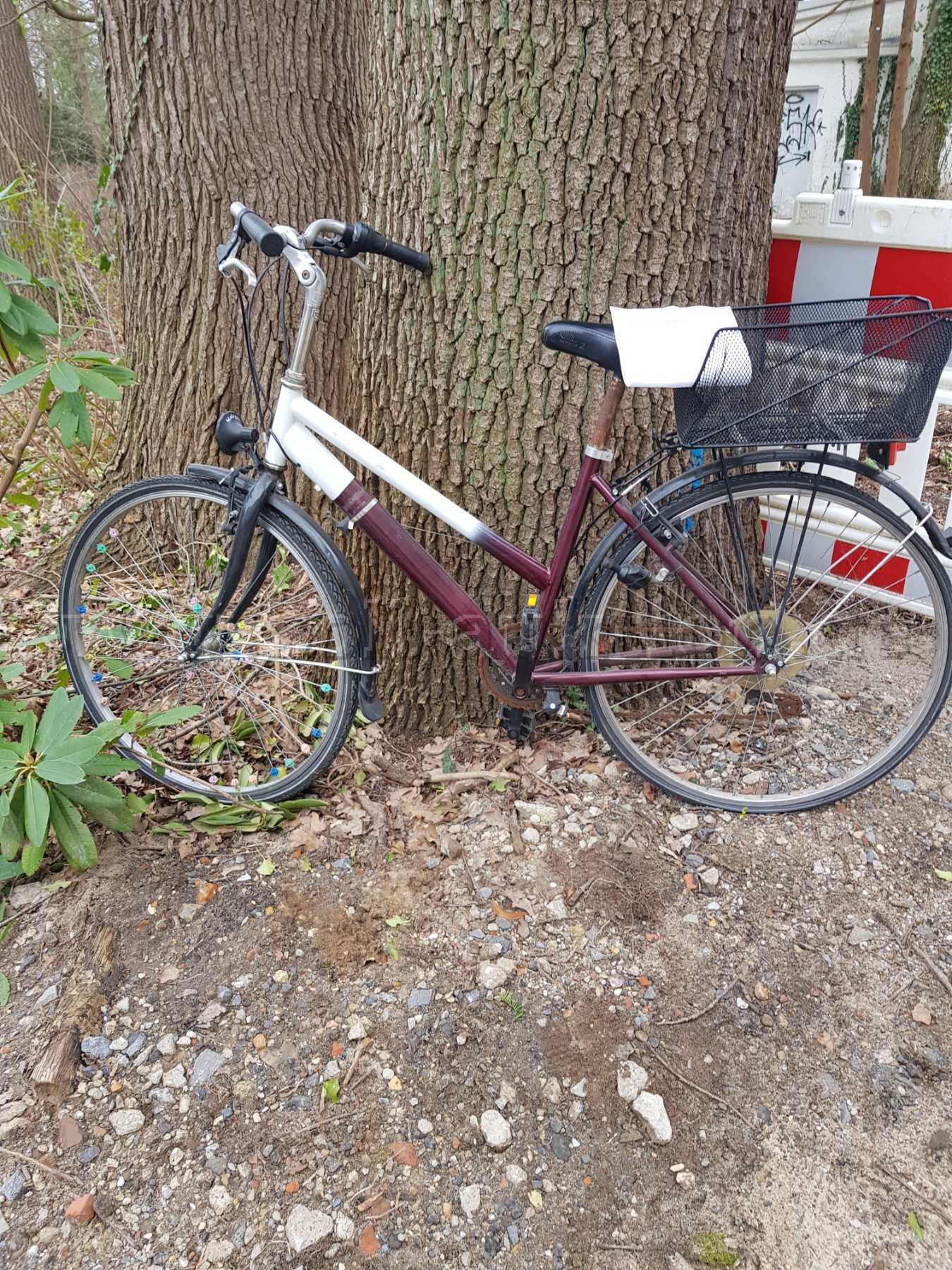 1 Fahrrad, 26 Zoll