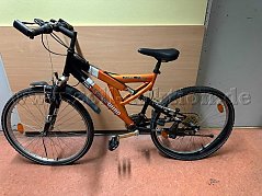 Das Fahrrad