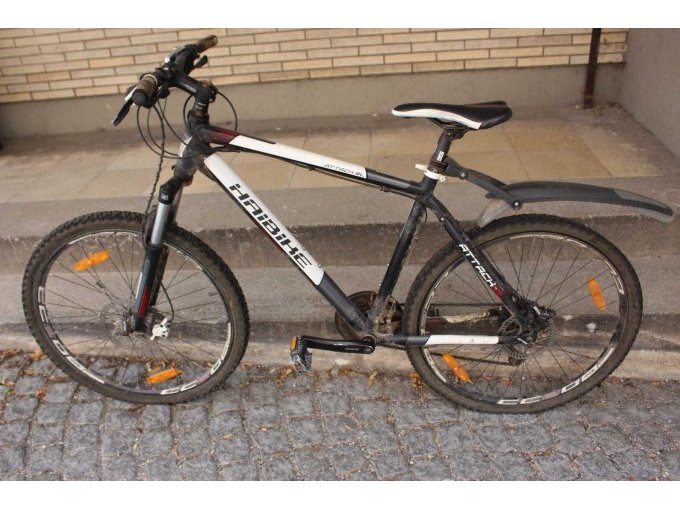 Seitenansicht MTB Haibike