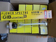 20x GIB-Lightning Flower Spectre 600W